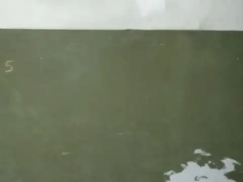 Estado de Israel 4500