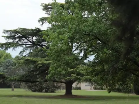 Terreno en Venta de 1162,0 m2