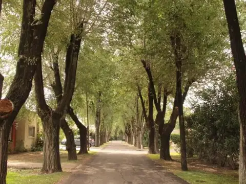 Terreno en Venta en La Otilia, USD 150.000