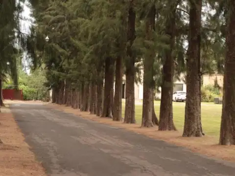 Venta de Lote en  La Otilia Champagnat B1630 UF 100