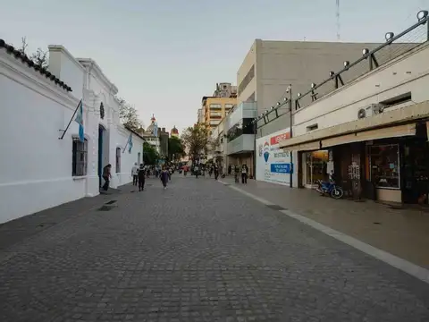 VENTA LOTE LIMPIO 670m2 PEATONAL CASA HISTORICA