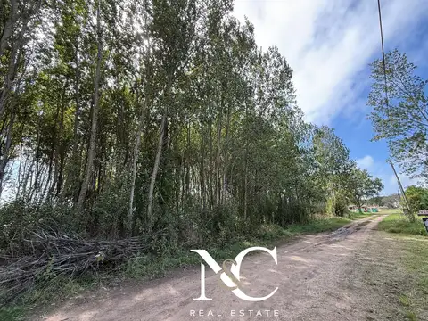 Calle Jasminez entre Pensamientos y Malvones