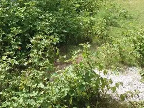 Terreno en Venta 10  mts Frente