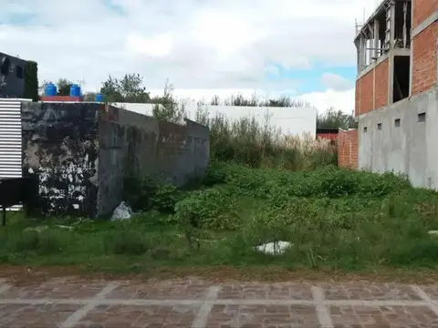 Avenida San Bernardo e/ Elcano y Gaboto