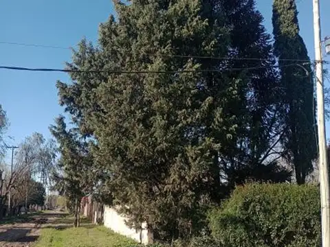 CALLE 1521 Y CALLE 1546 , Piso 0