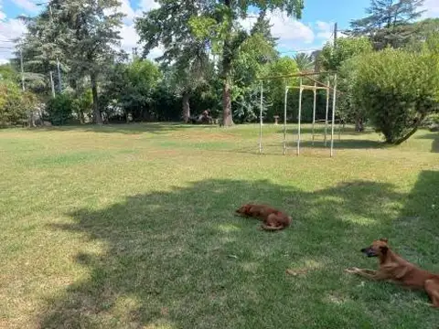 RUTA 26,(HOY RENEE FAVALORO) 1800