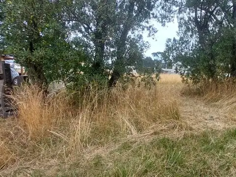 Terreno en Venta en Mar del Plata, USD 26.000