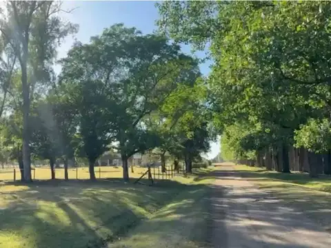 VENTA DE HECTAREA EN BARRIO ABIERTO EN CARMEN DE ARECO