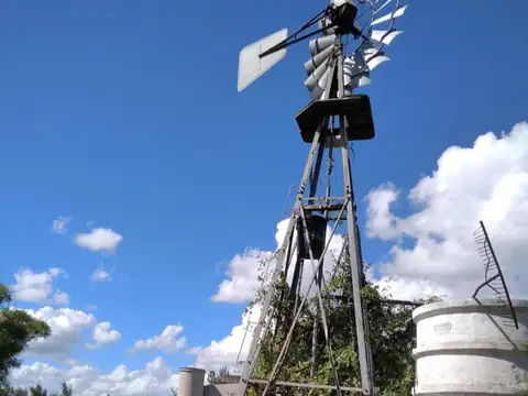 Salto Grande, casa quinta, campo de 11 ha, 9 productivas.