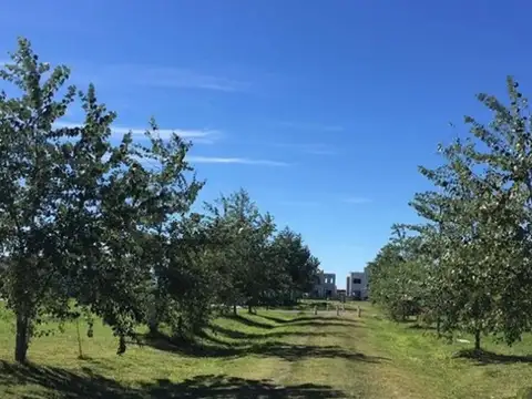 VENTA LOTE LAGUNA AZUL 389mts | Etapa 1 |Escritura