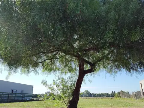 Terreno en Venta en San Sebastian, USD 38.000