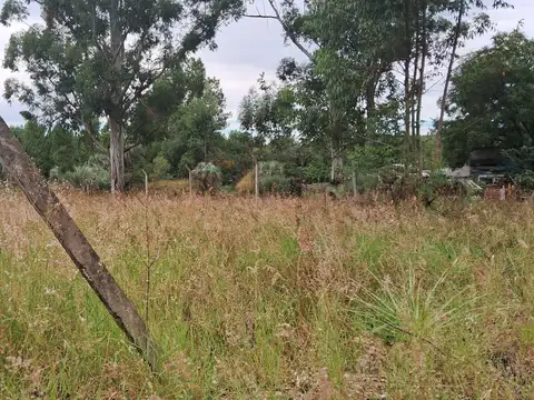 Terreno en Venta 42  mts Fondo