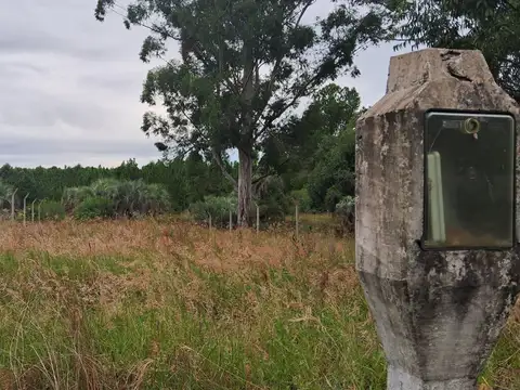 Terreno en Venta 12  mts Frente