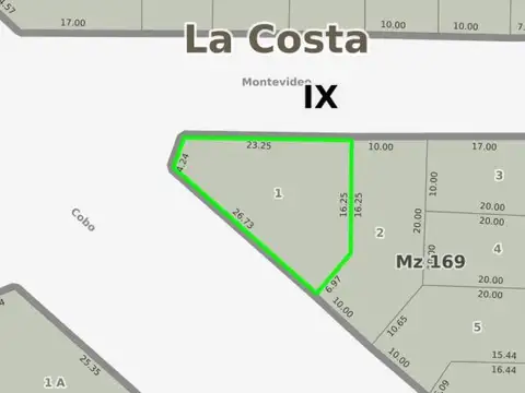 Montevideo y Diagonal Cobo