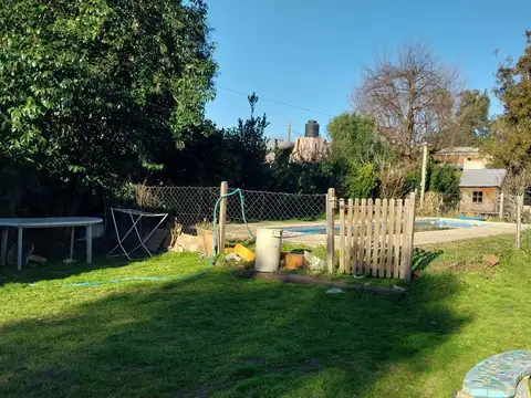 516 y 505 Agote Gowland