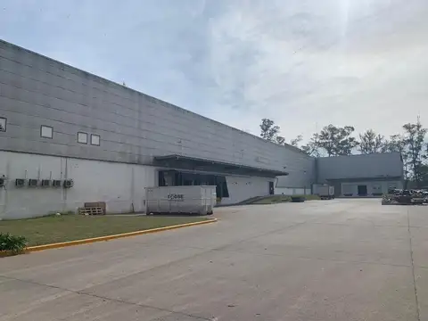 Galpon en Alquiler A Estrenar