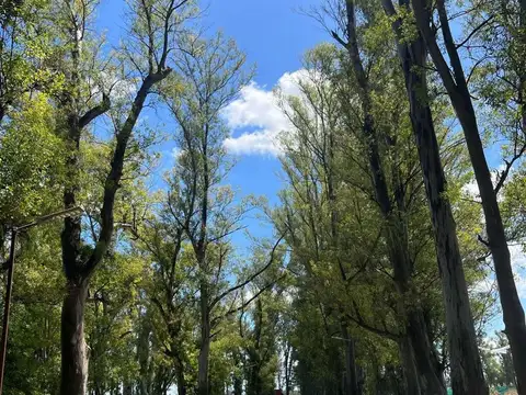 Terreno en Venta de 1200,0 m2