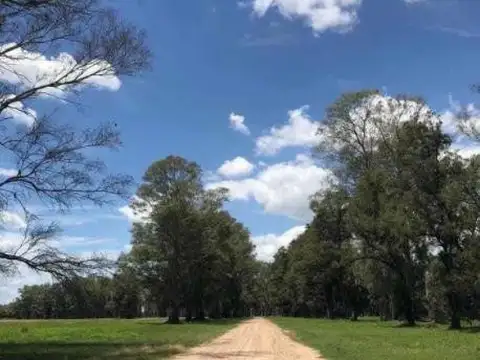 Terreno en venta - 1.200mts2 totales - Los Tres Pinos, General Rodríguez