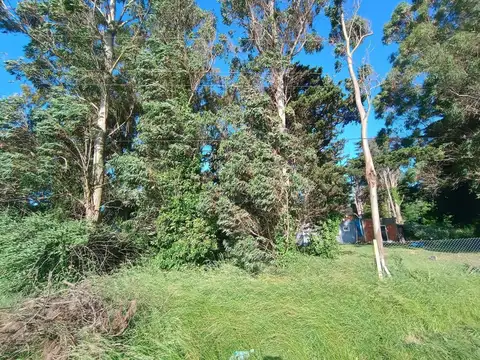 Terreno en Venta en Camet, USD 15.000