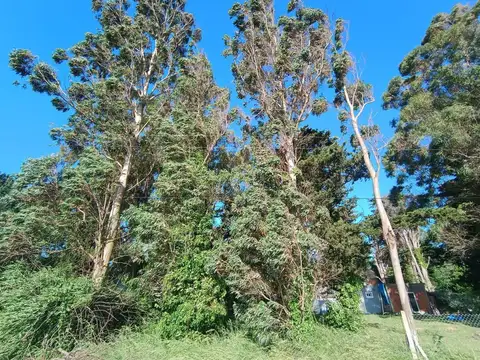 Terreno en Venta de 303,0 m2