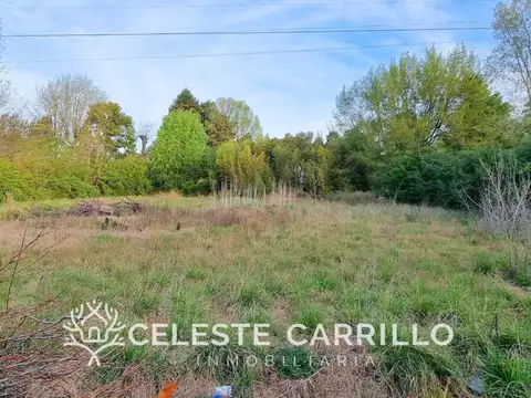 Terreno en Venta 48  mts Fondo