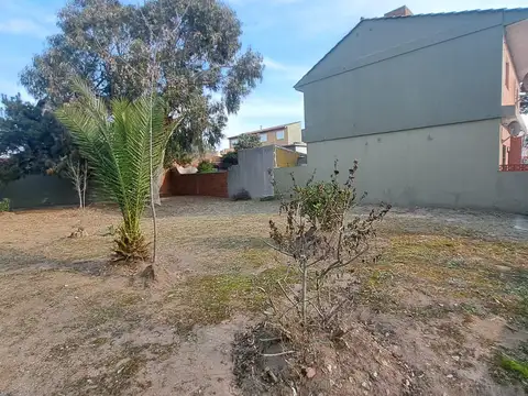 59 e/ 1 y 2 ref (160797)