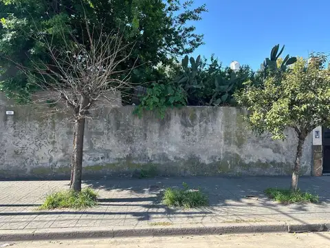 Terreno en Venta de 310,0 m2
