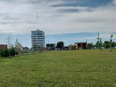 Barrancas de Baradero