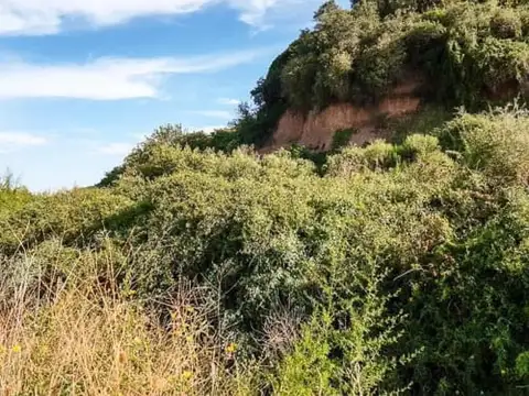 Terreno en Venta de 480,0 m2