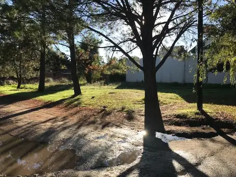 Terreno en Venta de 535,0 m2