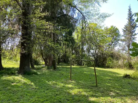 El Cazador - Sobre ruta 25