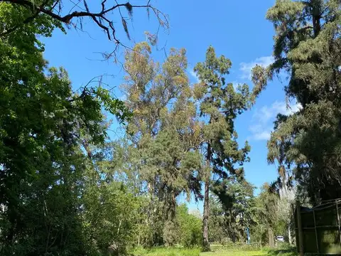 Terreno en Venta 215  mts Frente