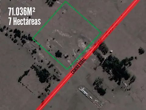 Campo en venta - 71.036Mts2 - 7 Hectáreas - Magdalena, Atalaya