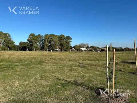 Terreno en Venta 16  mts Frente