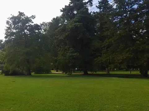 Terreno en Venta de 44470,0 m2