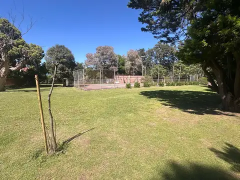 MONTES DE OCA al 3500