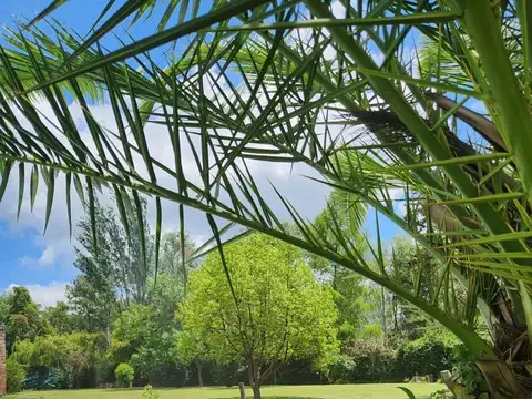 Agustina de Aragón 4100