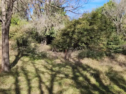 Terreno en Venta 30  mts Fondo