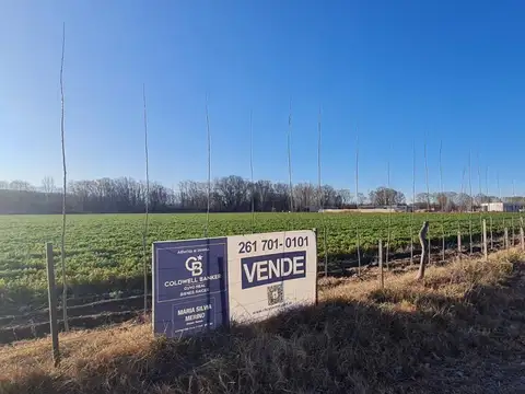 LA ARGENTINA S/N TUNYAN MENDOZA