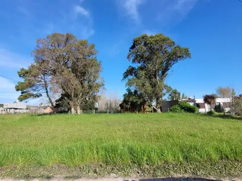 Terreno en Venta de 433,0 m2