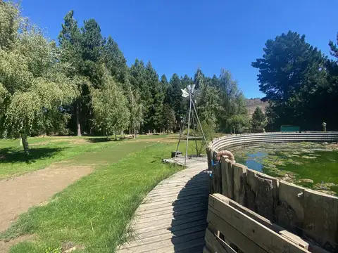 Local, Restaurante, Salon de Eventos