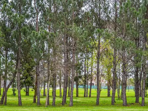 Greenville Polo y  Resort