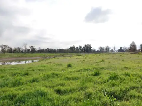 Terreno en Venta de 885,0 m2