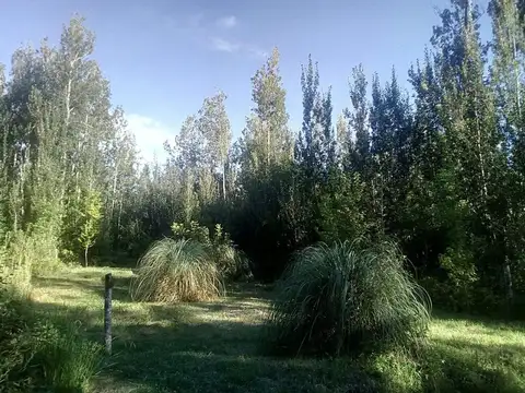 CHARCAS S/N ENTRE AV. DE LOS SAUCES Y ENTRE RIOS, VILLA YACANTO, CALAMUCHITA, CORDOBA