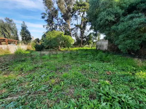 Terreno en Venta 20  mts Fondo