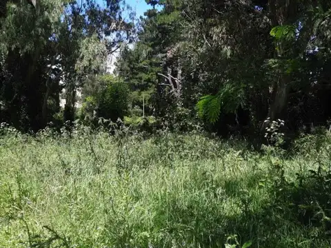 Terreno en Venta 40  mts Frente