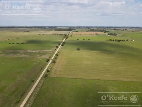 CAMPO MIXTO DE 90 HAS CON MUY BUEN ACCESO A 1.30 HS DE CABA - RANCHOS