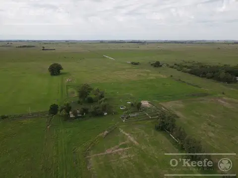 CAMPO MIXTO DE 90 HAS CON MUY BUEN ACCESO A 1.30 HS DE CABA - RANCHOS