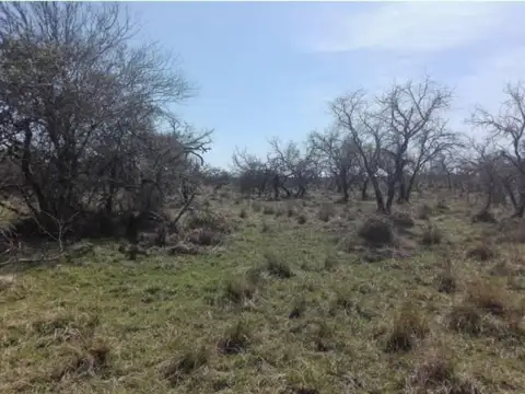 VENDO 330 HÉCTAREAS EN COLONIA ESPIN - VERA