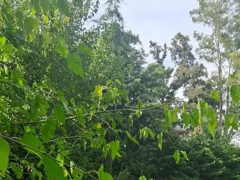 Terreno en venta en Barrio Parque El Remanso, Del Viso, Pilar, GBA Norte